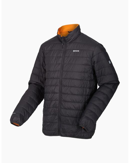 Regatta Blue Hillpack Quilted Insulated Jacket for men