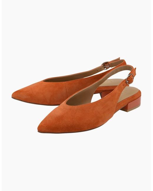 Lotus Brown Morton Pumps