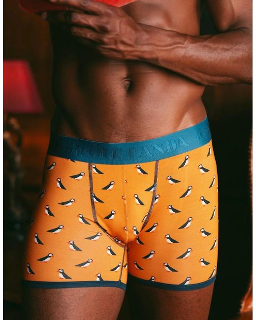 Swole Panda Orange Puffins Bamboo Boxer Brief for men