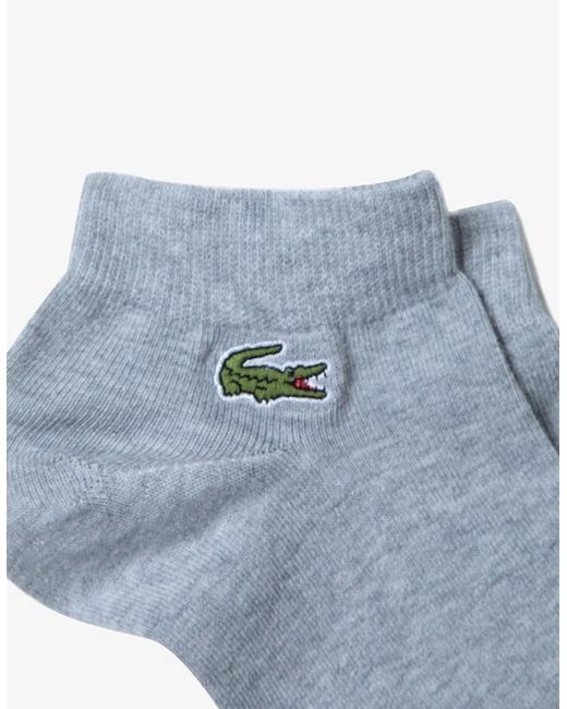 Lacoste Blue Pack Of 3 Pairs Of Low Sport Trainer Socks for men