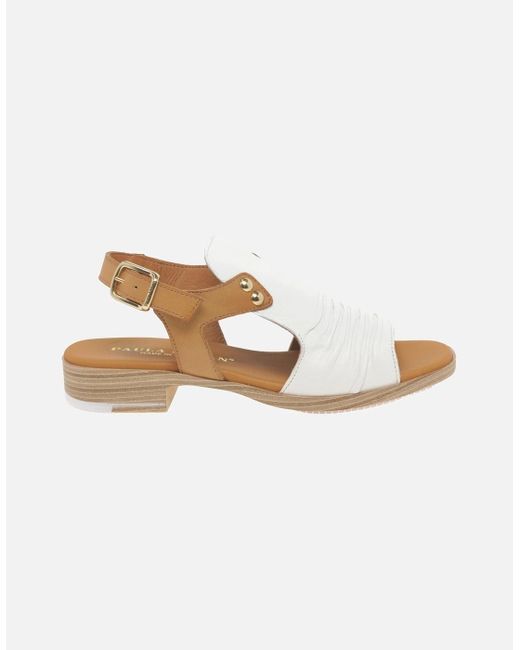 Paula Urban White Coastal Buckle Fastening Sandals