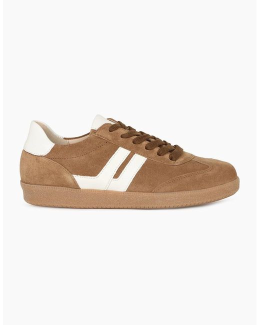 Gabor Brown West Trainers