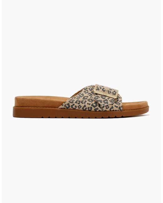 TOMS Brown Marin Slide Leopard Sandals