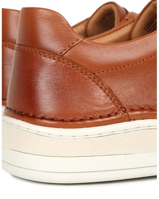 Josef Seibel Brown Cleve 02 Trainers for men