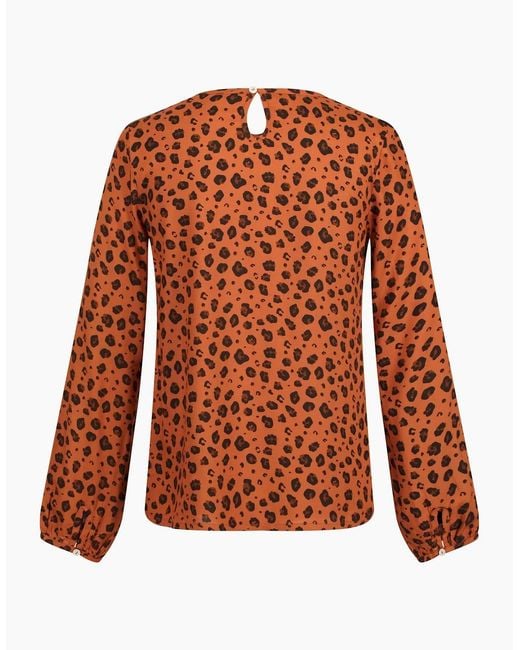 Regatta Orange Ladies Hadria Animal Print Blouse