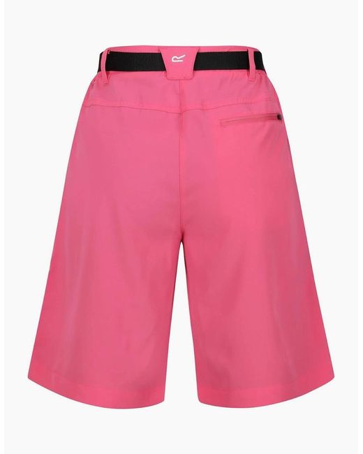 Regatta Red Xert Stretch Bermuda Walking Shorts