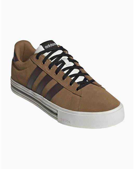 Adidas Brown Daily 4.0 Court Trainers for men