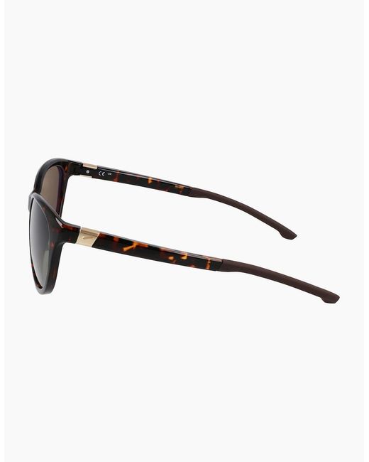 Nike Brown Hero S Cat Eye Sunglasses for men