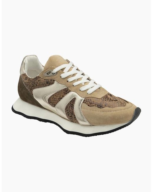 Ravel White Innes Trainers