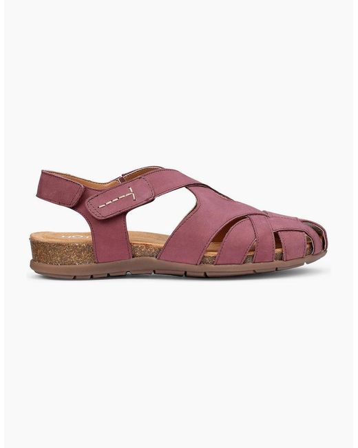 Hotter Pink Carpa Sandals
