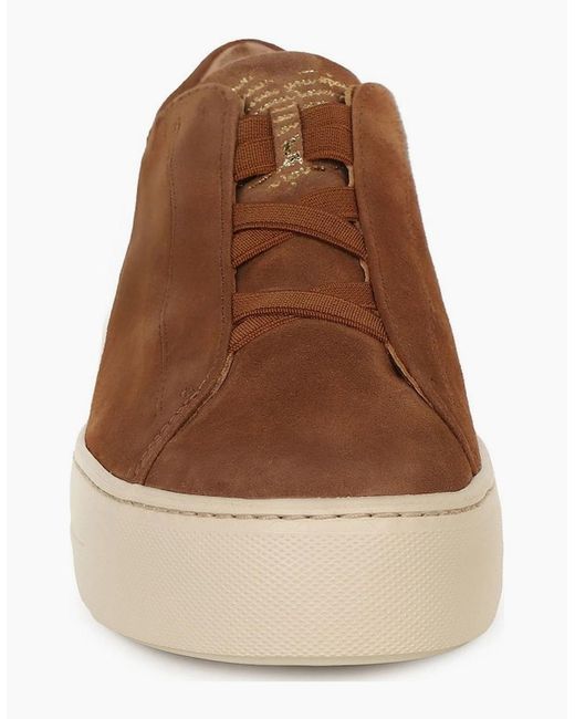 Paul Green Brown Eden Trainers
