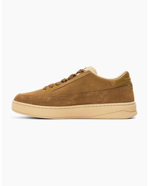 DIESEL Brown Sina Low Top Court Sneakers for men