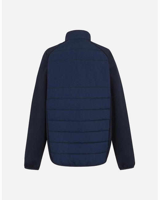 Regatta Blue Professional Hybrid Jacket for men
