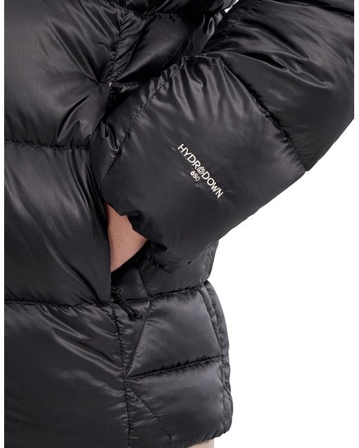 Berghaus Gray Explorer Down Jacket for men