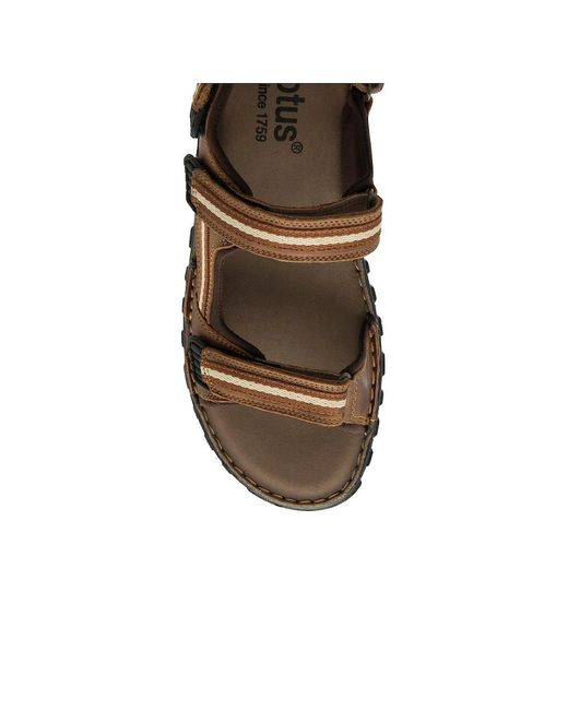 Lotus Brown Gus Sandals for men
