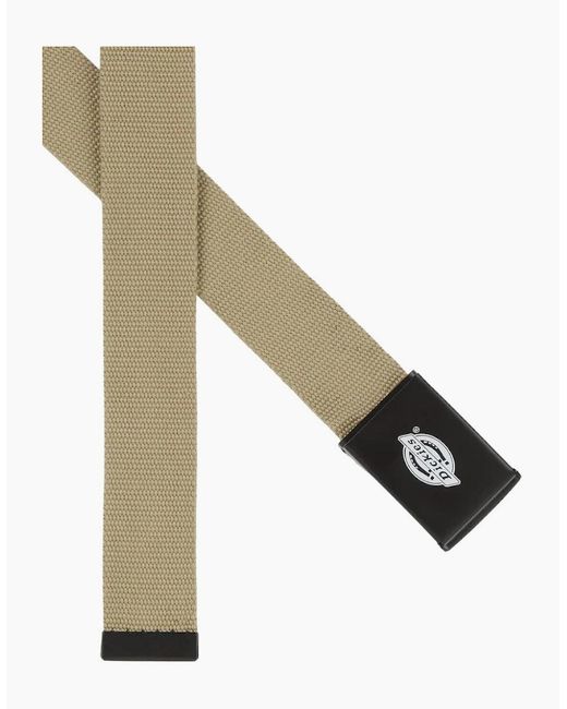 Dickies Natural Orcutt Khaki Belt for men