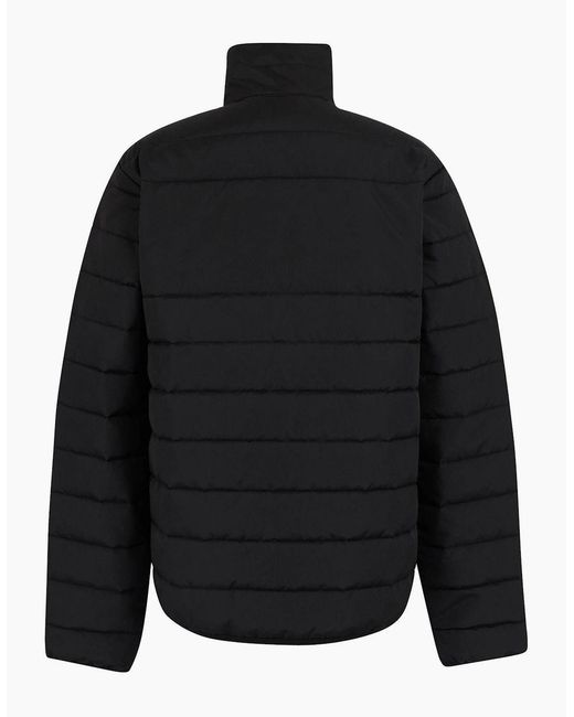 Regatta Black Professional Thermal Jacket for men