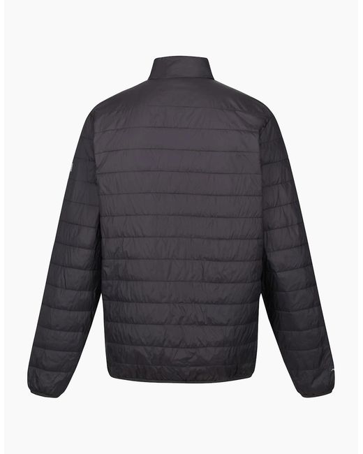 Regatta Blue Hillpack Quilted Insulated Jacket for men