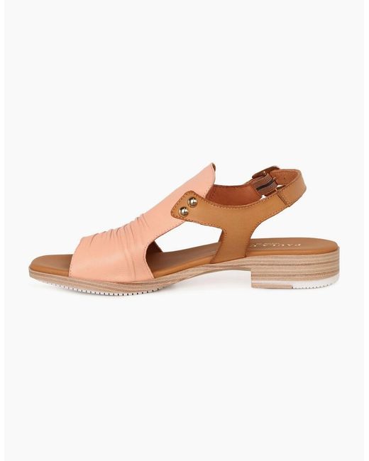 Paula Urban Brown Coastal Buckle Fastening Sandals
