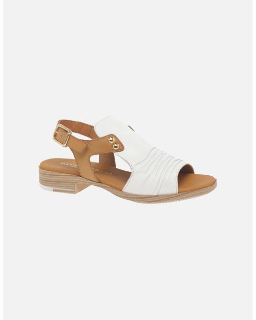 Paula Urban White Coastal Buckle Fastening Sandals