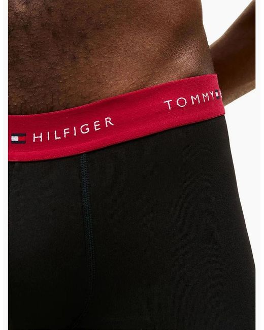 Tommy Hilfiger Blue 3-Pack Signature Cotton Boxer Trunks, W/ Burgundy for men