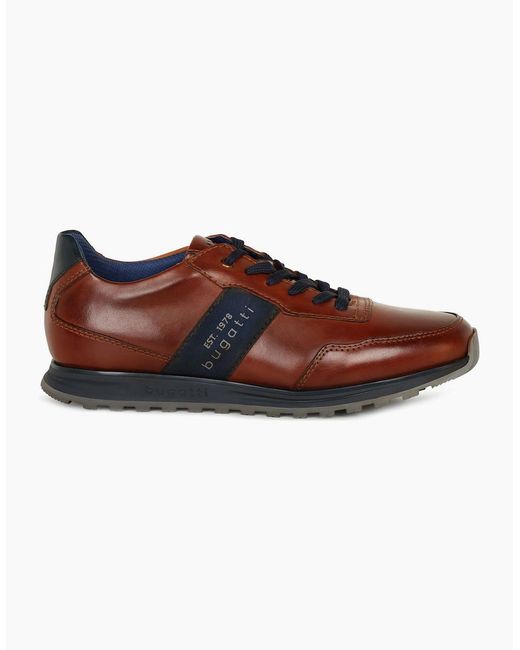 Bugatti Brown 'Cellar' Smart Trainers for men