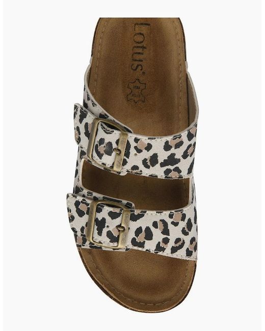 Lotus Brown Rome Mules