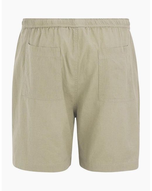 Regatta Natural Hadlin Shorts for men