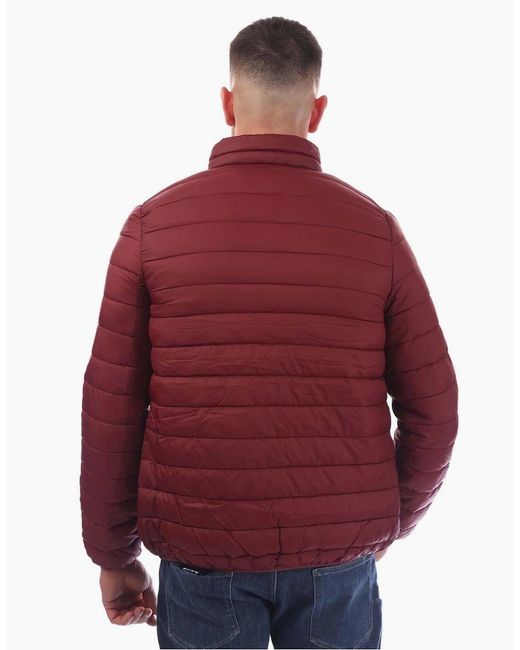 Aquascutum Red Puffer Jacket for men