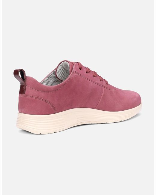 Hotter Purple Cosmos Trainers