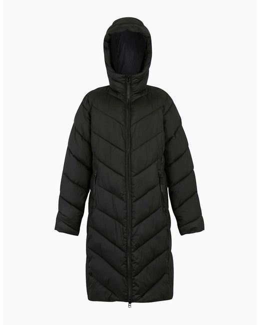 Regatta Black Ladies Anita Padded Jacket