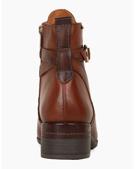 Pikolinos Brown Murrey Ankle Boots