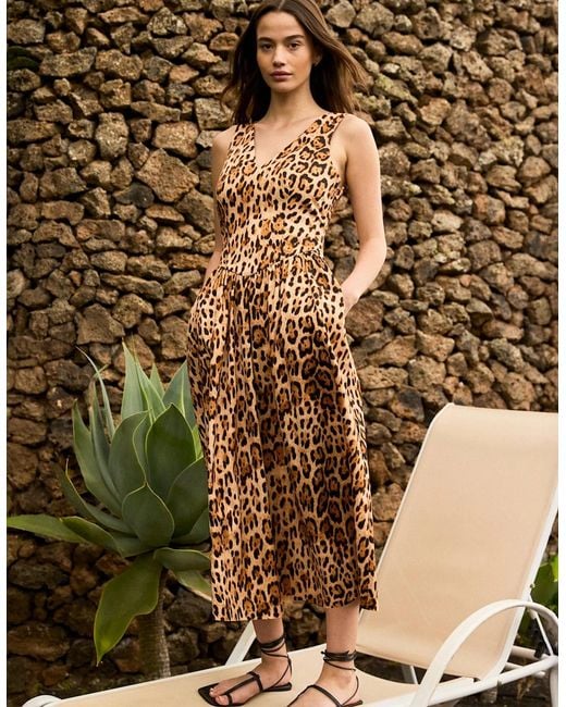 Ro&zo White Petite Alexis Leopard Print Cotton Sateen Dress