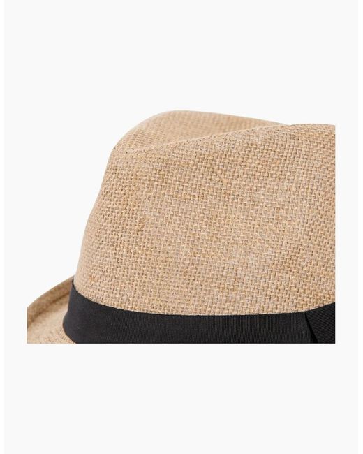 Trespass Black Adult Fedora Hat