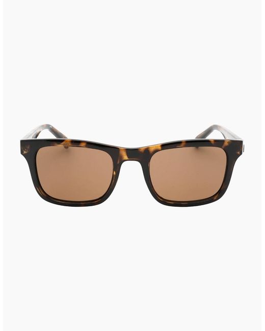 Calvin Klein Brown Lens Tortoise Sunglasses for men
