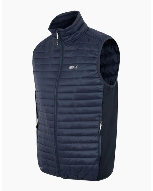 Regatta Blue Andreson Hybrid Padded Jacket for men