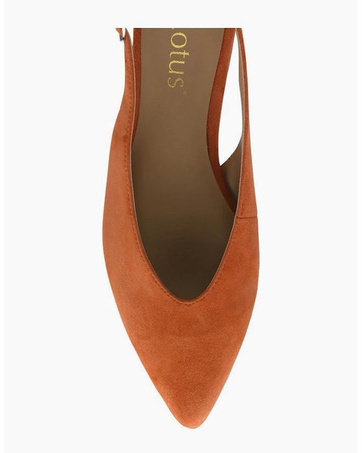 Lotus Brown Morton Pumps
