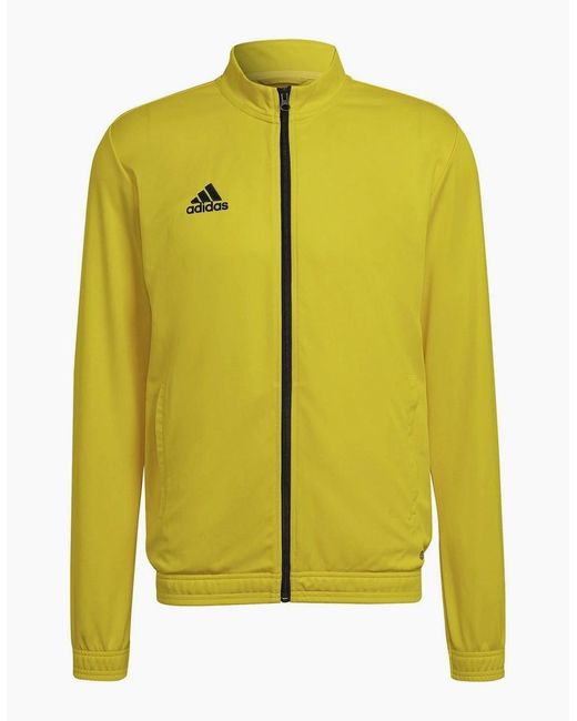 Adidas Yellow Ent22 Solid Patterned Full Zipper Ribbed Cuff Track Jacket for men