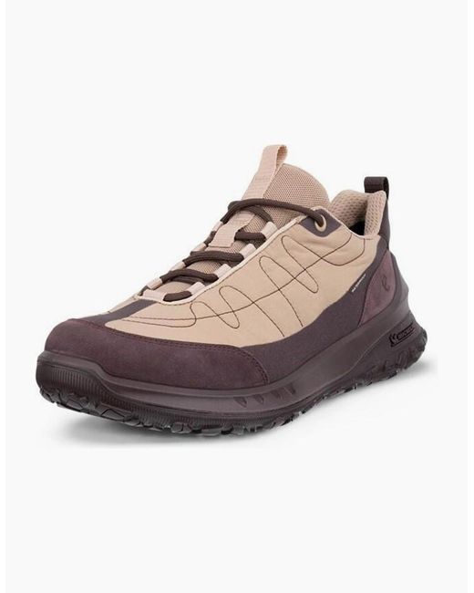Ecco Brown Ult-Trn Waterproof Trainers