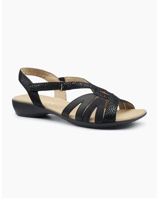 Hotter Multicolor Flare Sandals