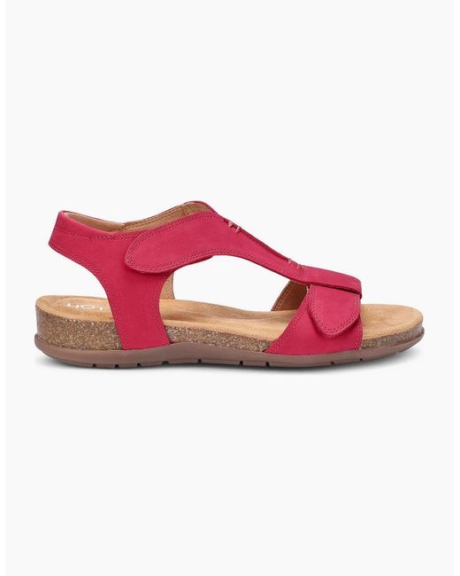 Hotter Pink Rysy Sandals