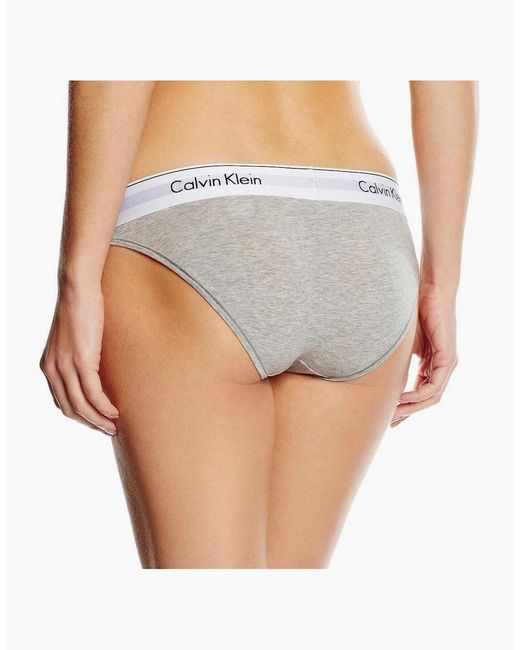 Calvin Klein Blue Modern Cotton Bikini Brief, Heather