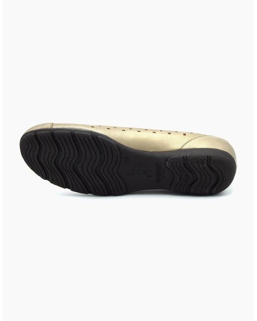 Gabor Brown Ruffle 64.169 Ladies Shoe