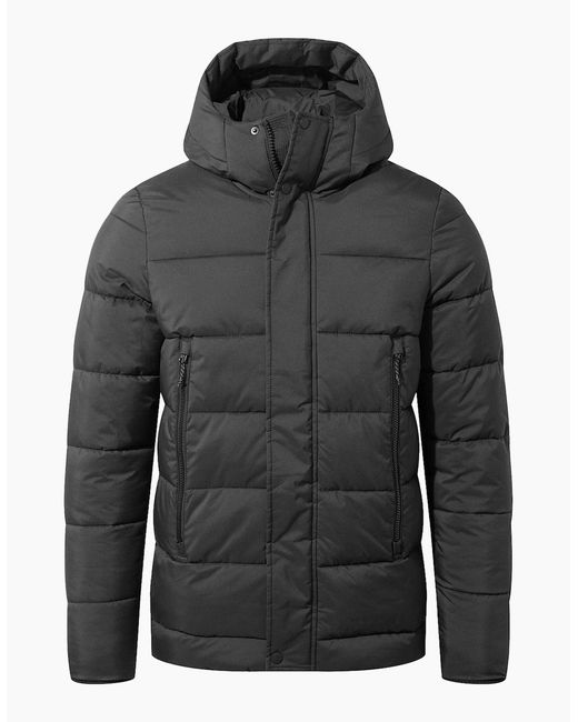 Craghoppers Gray Padded Winter Jacket for men
