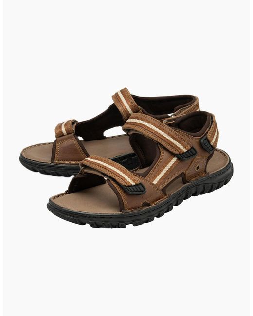 Lotus Brown Gus Sandals for men