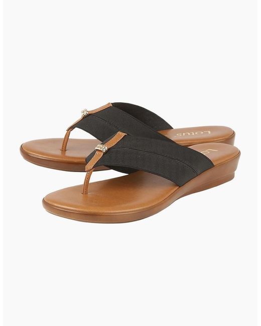 Lotus Brown Erminia Toe Post Sandals