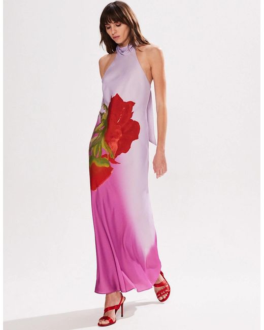 Ro&zo Pink Petite Margot Rose Print Halter Neck Dress