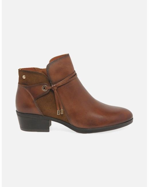 Pikolinos Brown Darcey Ankle Boots