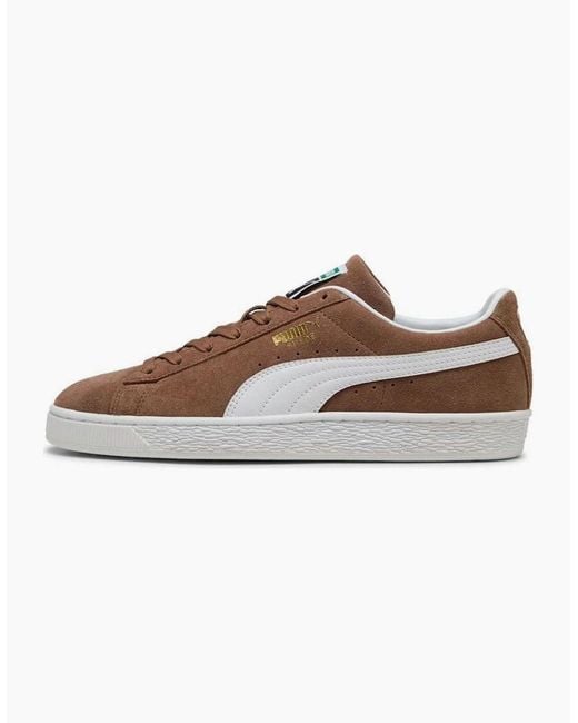 PUMA Brown Classic Suede Haute Coffee/ Trainers