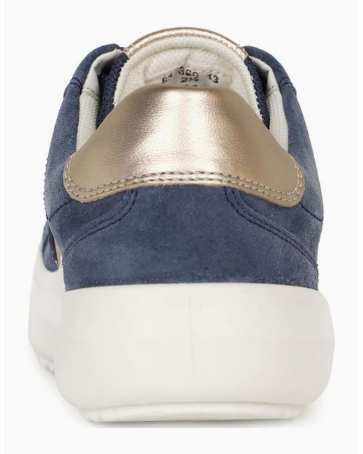 Gabor Blue Jade Trainer
